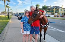 Horse-Drawn Carriage Tour of St Augustine