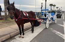 Horse-Drawn Carriage Tour of St Augustine