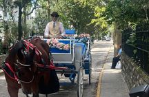 Horse-Drawn Carriage Tour of St Augustine