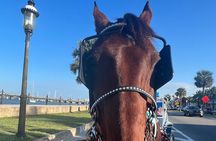 Horse-Drawn Carriage Tour of St Augustine