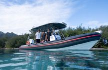Private Boat Tours on Moorea Lagoon