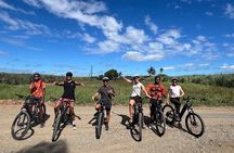 Guided E-bike Tour