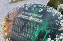  Private minibus tour of Blarney,Cork City,Jameson Distillery 