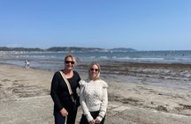 Kamakura Half Day Walking Tour with Kotokuin Great Buddha