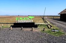 Private Day Tour to Olpajeta Conservancy From Nairobi