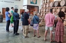 Chianti and Castles Tour from San Gimignano Small Group