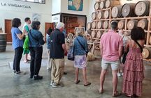 San Gimignano, Chianti and Montalcino Tour through Tuscan wine