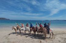Conchal Beach Horseback Riding - 1hr 30min Guided Tour