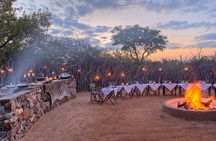 3-Day Big Five Madikwe Safari from Johannesburg