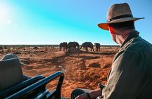 3-Day Big Five Madikwe Safari from Johannesburg