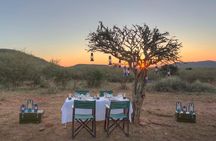 3-Day Big Five Madikwe Safari from Johannesburg