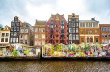 Private Day Tour of Amsterdam's Old Town Highlights by Car