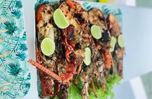 VIP Private Booze Cruise with BBQ in Punta Cana 