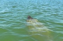 Bonita Springs Eco Kayak Tour – Best Gear, Premium&Clear Kayaks