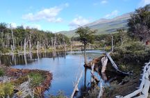 TIERRA DEL FUEGO NATIONAL PARK PHOTO & TREK Tour