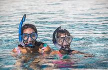Inclusive Beach Day Package