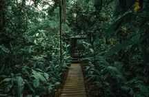 Empalme Golden Mud (Wellness Experience) by Sensoria