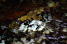 Empalme Golden Mud (Wellness Experience) by Sensoria