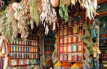 Marrakech Excursion Mini Group Camel Ride from Casablanca