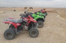 Marrakech: Agafay Desert Quad Biking Tour with Dinner & Show