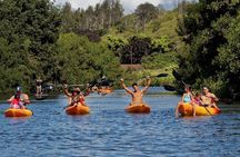 PRIVATE TOUR-Ultimate North Shore Experience
