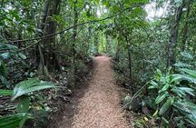 Rainforest Night Tour at Tapir Home Bijagua