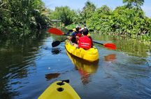 VIP Mekong Delta Adventure Cycling & Kayak Day Trip Group 10 Pax