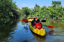 VIP Mekong Delta Adventure Cycling & Kayak Day Trip Group 10 Pax
