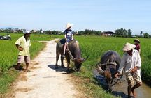 Hoi An Eco Tour Market, Farming, Cooking Class with Foot Massage