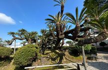Step-Free Easy going tour from Shimizu Port / Van Taxi