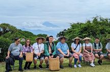 Step-Free Easy going tour from Shimizu Port / Van Taxi