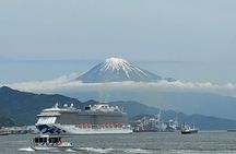 Step-Free Easy going tour from Shimizu Port / Van Taxi