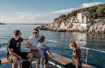 Sunset Dolphin Safari & Brijuni Wildlife Glass-Boat Tour