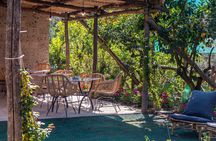 Cooking Class: Your Culinary Love Affair in Sorrento