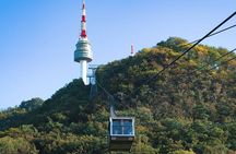 Full Day Private Seoul Sightseeing Tour with Cable Car & Lunch