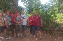 Stone Town and Spice Farm Private Tour