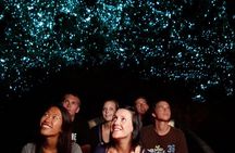  Auckland: Rotorua Māori Village w Haka & Waitomo Caves Day Tour