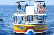 All Inclusive Mirissa Whale and Dolphin Watching Boat Ride