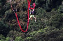 Extreme Bungee Jumping in Monteverde