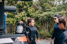 Discover Scuba Diving in Diver's Paradise!