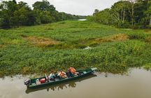 3-Days Tour in the Amazon Rainforest at Curassow Amazon Lodge