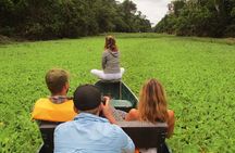 3-Days Tour in the Amazon Rainforest at Curassow Amazon Lodge