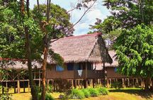 3-Days Tour in the Amazon Rainforest at Curassow Amazon Lodge