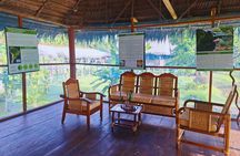 5-Day Primary Rainforest Adventure at Curassow Amazon Lodge