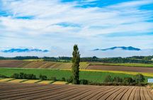 Hokkaido Day Tour Farm Tomita, Blue Pond, Blue Pond and Buffet