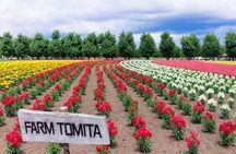 Hokkaido Day Tour Farm Tomita, Blue Pond, Blue Pond and Buffet