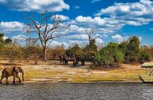 Chobe Botswana Day Trip River and Land Safari from Victoria Falls