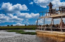 Chobe Botswana Day Trip River and Land Safari from Victoria Falls