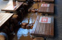 Kobe's Harmony: Mountains, Sea, and the Serenity of Arima Onsen
