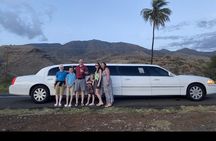 Maui Historical Island Tour